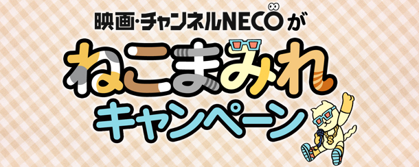 映画 チャンネルnecoが猫まみれキャンペーン 新着情報 映画 チャンネルneco