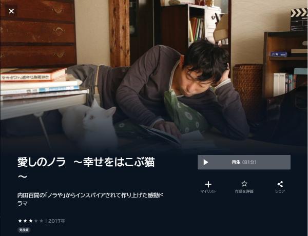 愛しのノラ ~幸せをはこぶ猫~