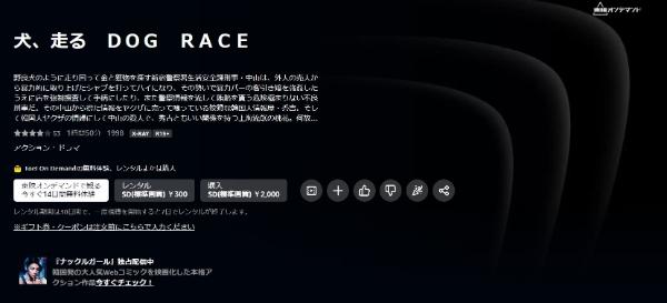 犬、走る DOG RACE Amazonプライム