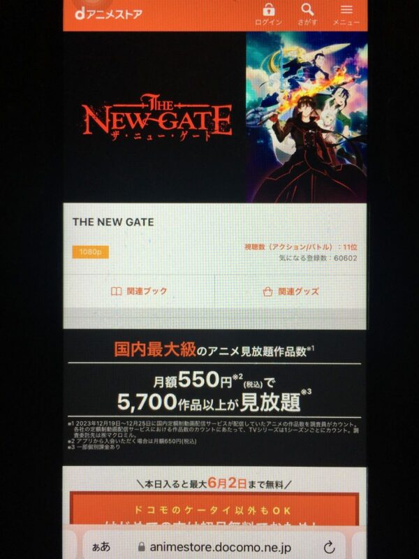 THE NEW GATE danime