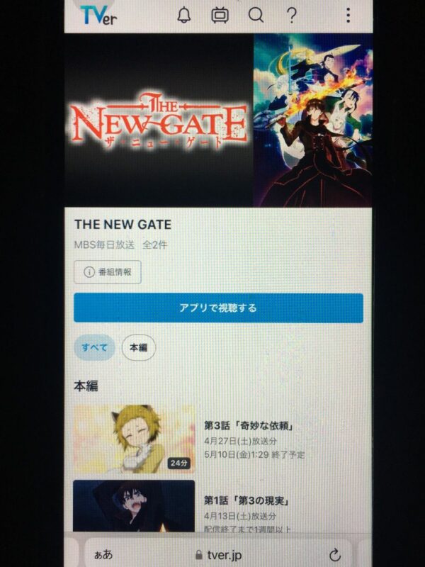 THE NEW GATE tver