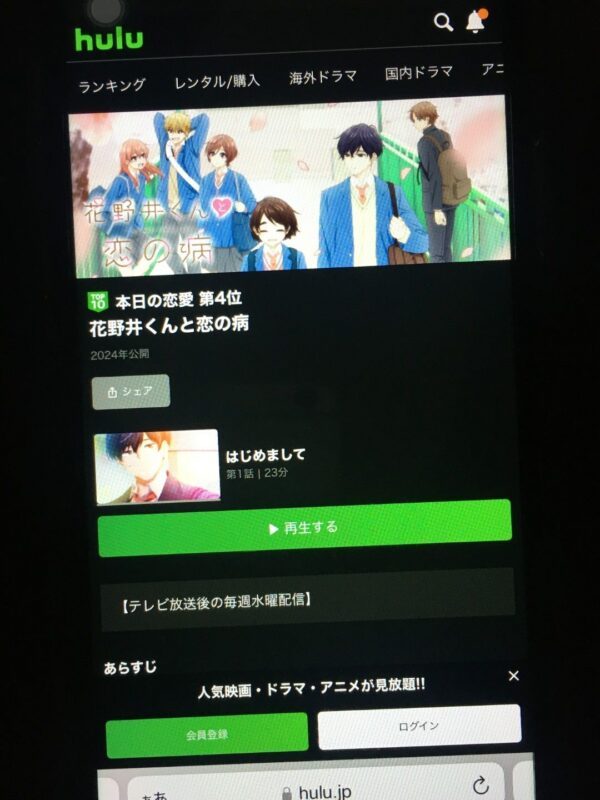 花野井くんと恋の病 hulu