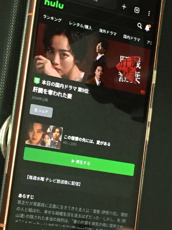 肝臓を奪われた妻 hulu