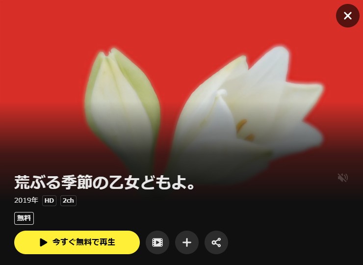 荒ぶる季節の乙女どもよ。 DMM TV