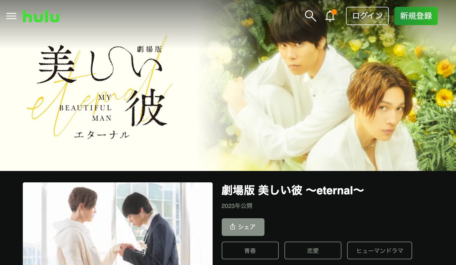 Hulu 劇場版 美しい彼〜eternal〜の配信はどこで見れる？フルで視聴できる動画配信サービス！
