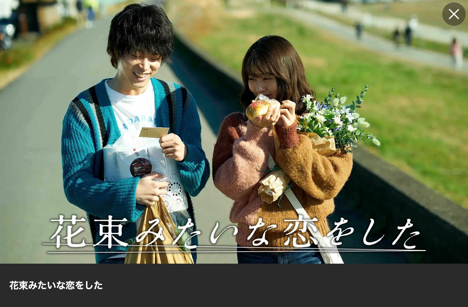 Lemino 花束みたいな恋をした