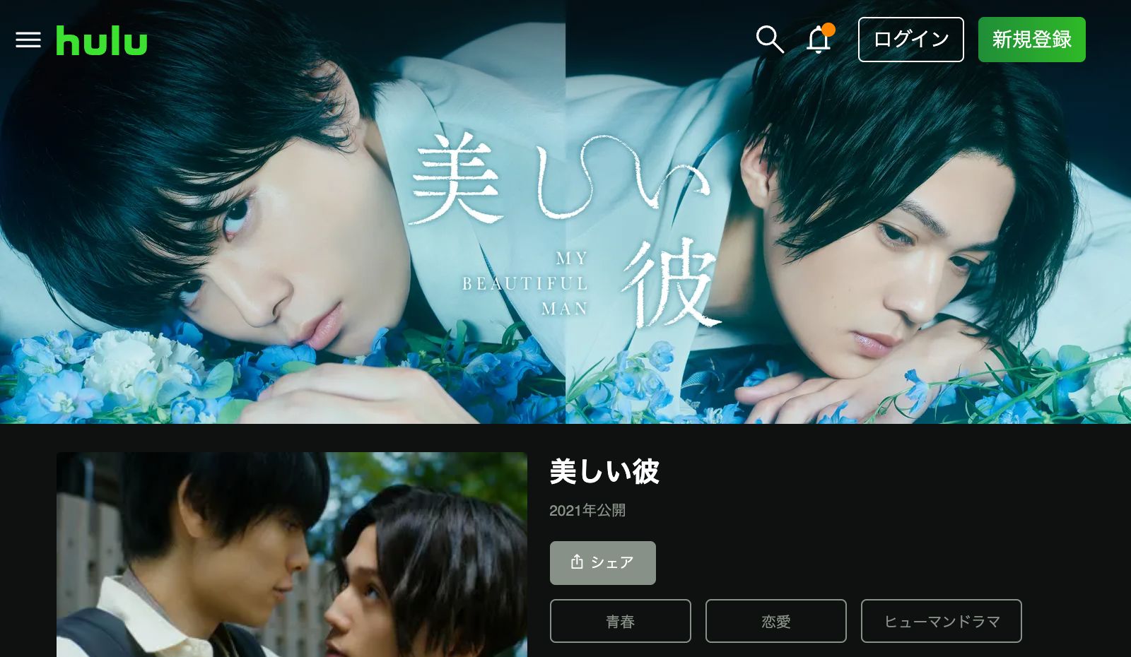 Hulu 美しい彼の配信はどこで見れる？全話視聴できる動画配信サービス！