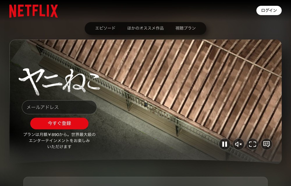 Netflix ヤニねこ