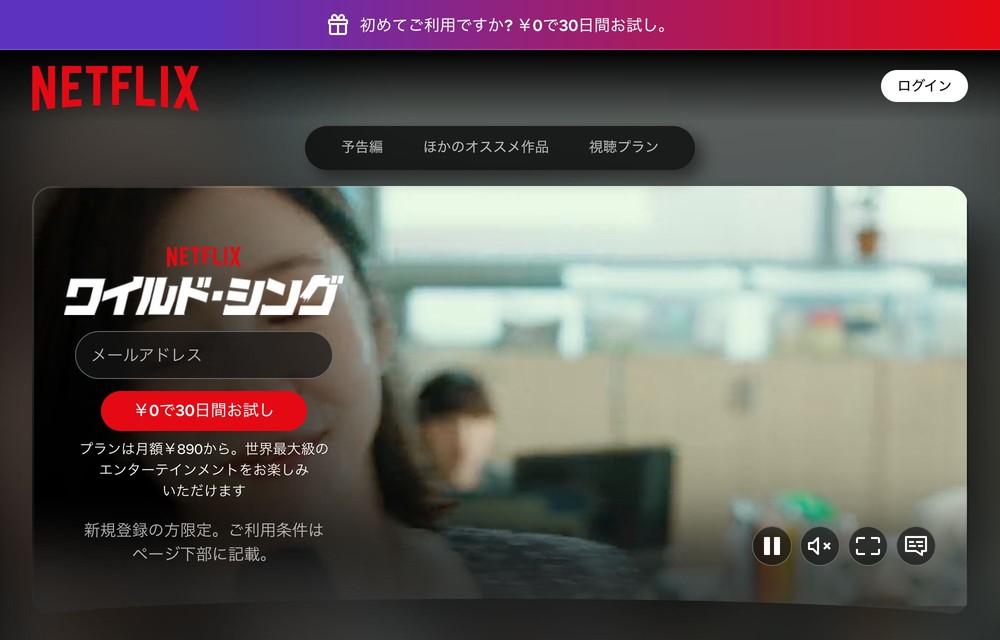 Netflix ワイルド・シング