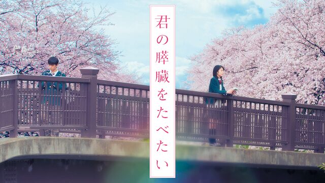 君の膵臓をたべたいの配信はどこで見れる？フル視聴できる動画配信サービス！