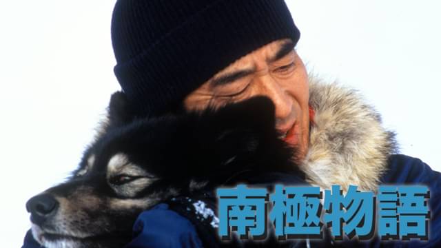 映画「南極物語」の配信はどこで見れる？動画をフル視聴できる動画配信サービス！