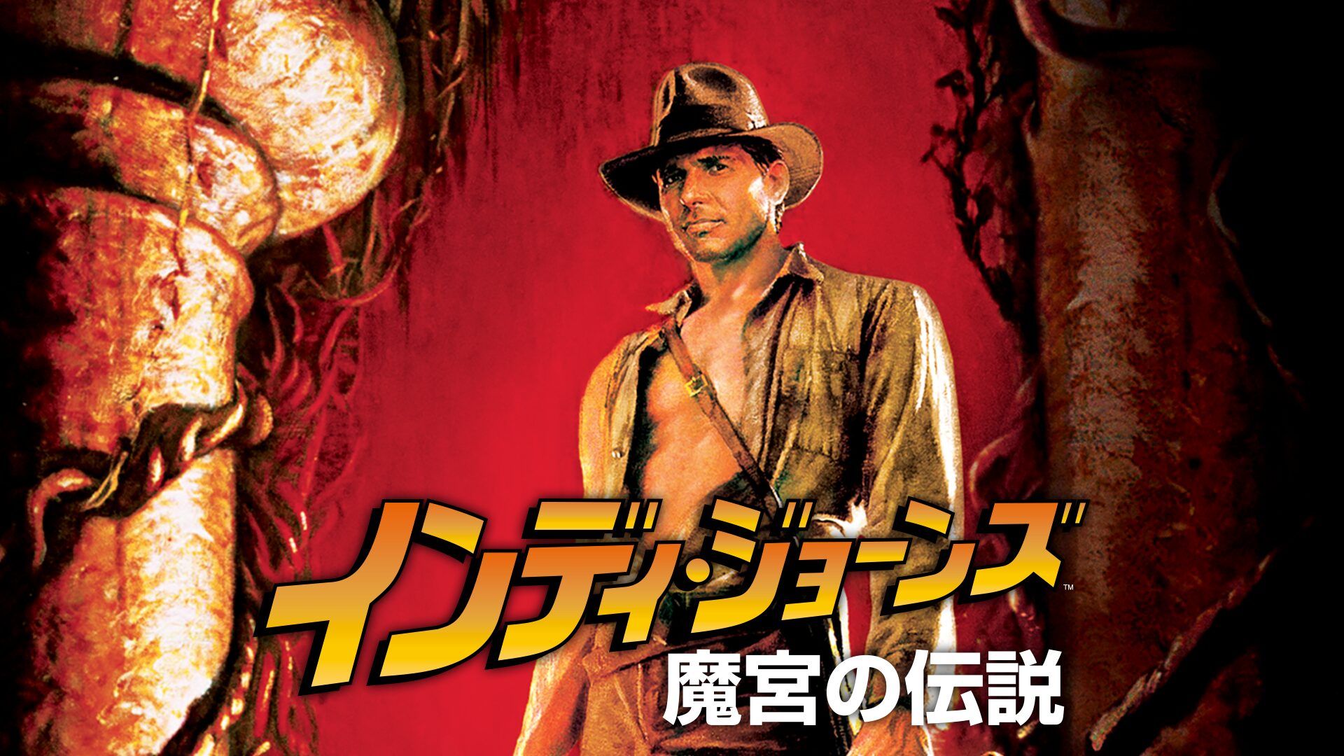 インディ・ジョーンズ/魔宮の伝説の配信はどこで見れる?動画をフル視聴できる動画配信サービス!