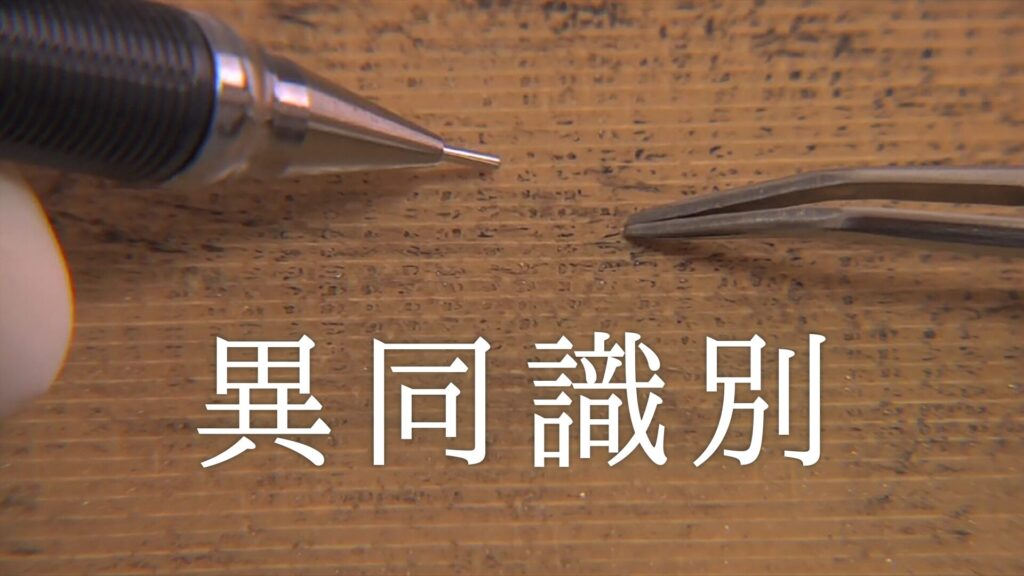 異同識別