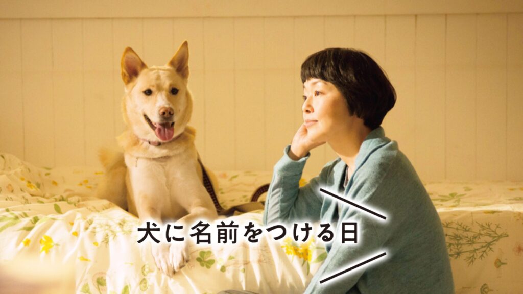 映画｜犬に名前をつける日の動画をフルで無料視聴できる配信サイト