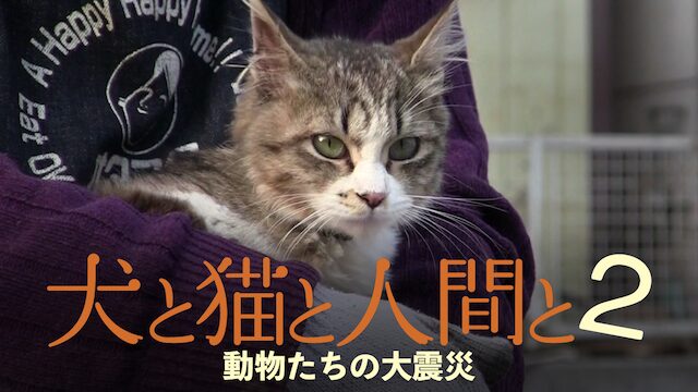 映画｜犬と猫と人間と2 動物たちの大震災の動画をフルで無料視聴できる配信サイト
