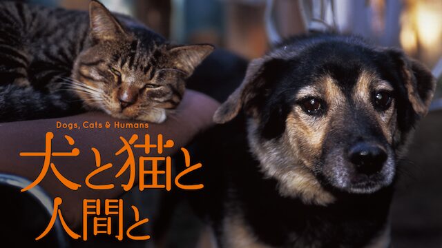 映画｜犬と猫と人間との動画をフルで無料視聴できる配信サイト