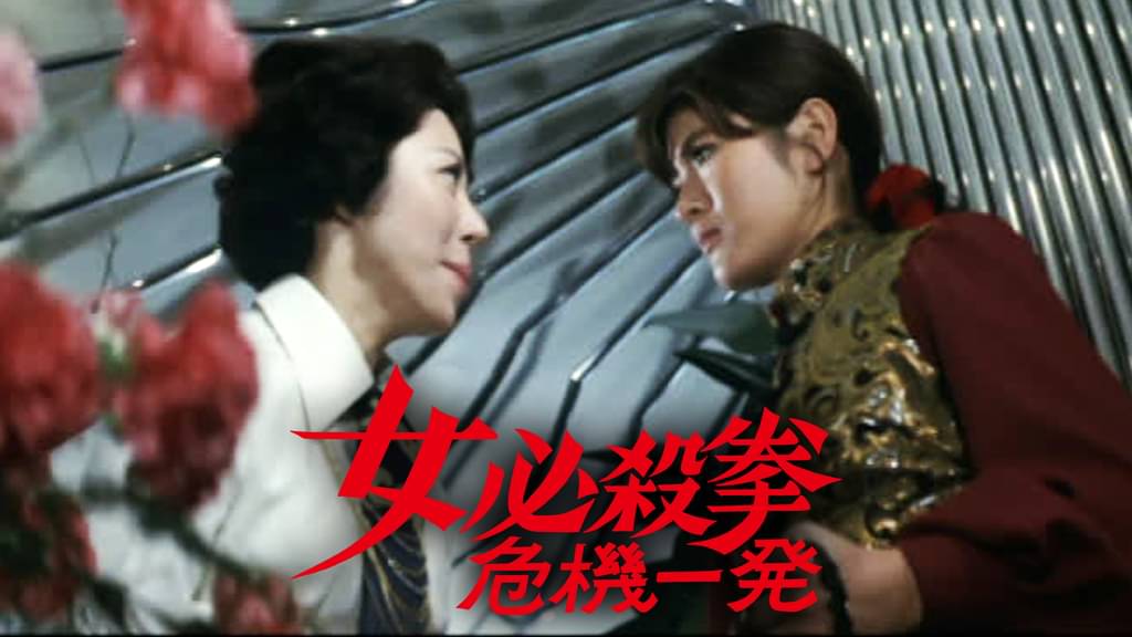 映画｜女必殺拳 危機一髪の動画をフルで無料視聴できる配信サイト