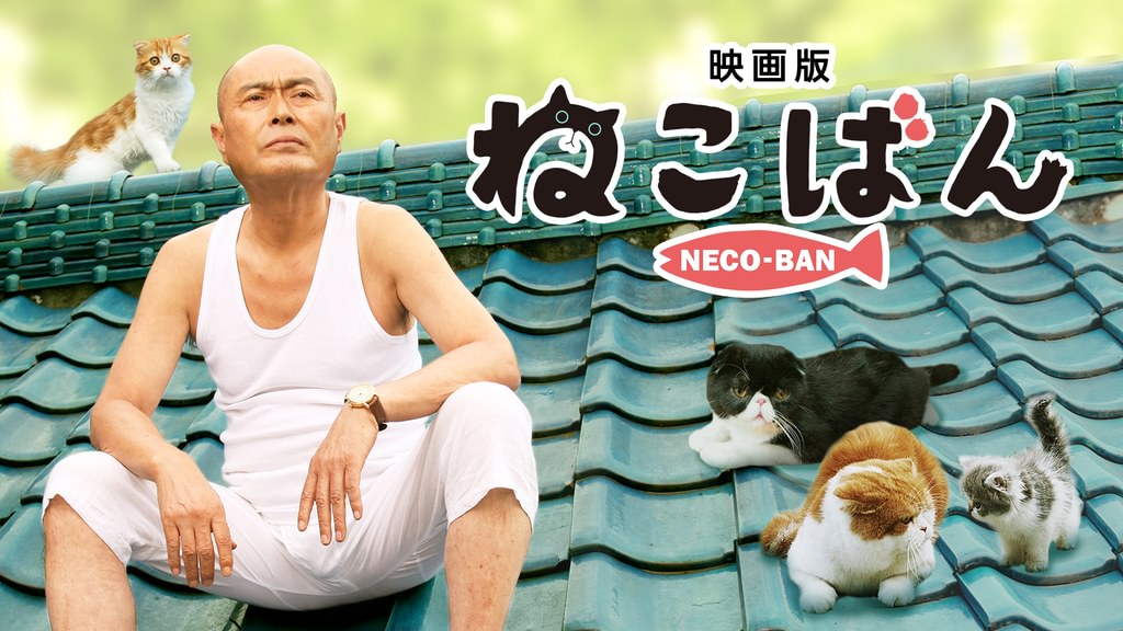 映画｜映画版 ねこばんの動画をフルで無料視聴できる配信サイト