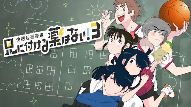 アニメ｜兄に付ける薬はない！3-快把我哥帯走3-（3期）の動画を全話無料で見れる動画配信サイト