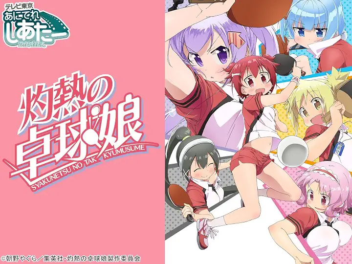 アニメ｜灼熱の卓球娘の動画を全話無料で見れる動画配信サイト
