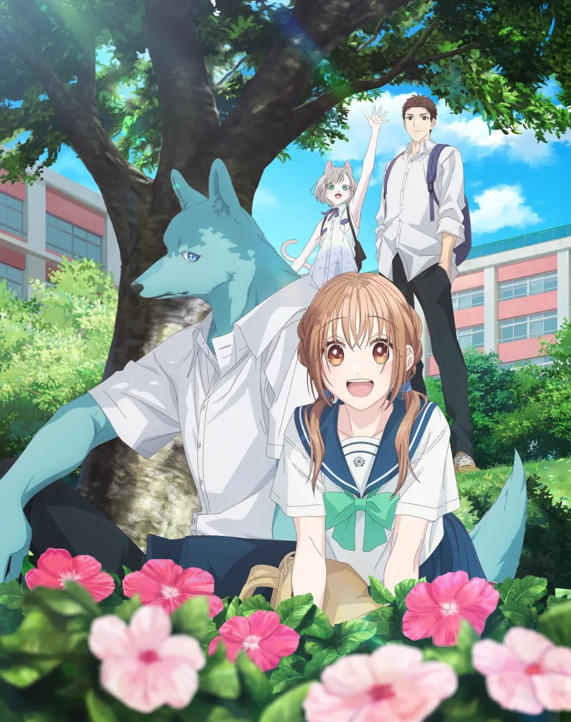 アニメ｜キミと越えて恋になるはどこで見れる？見逃し配信や全話視聴できる動画サービス！