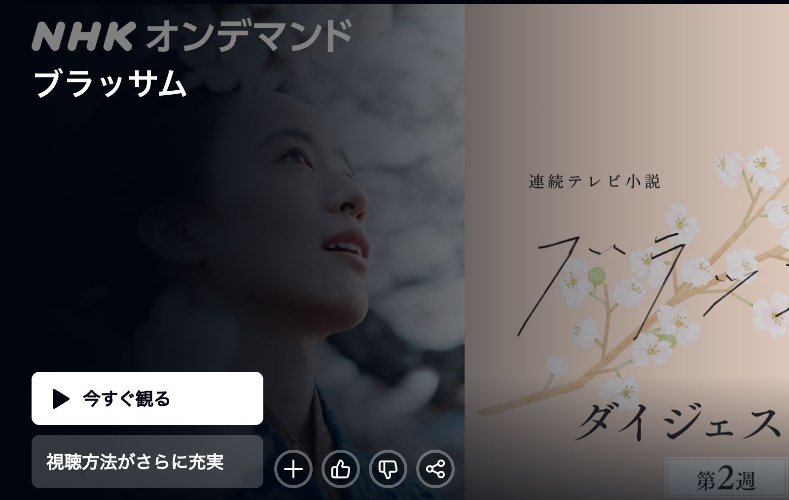 Amazon ブラッサム