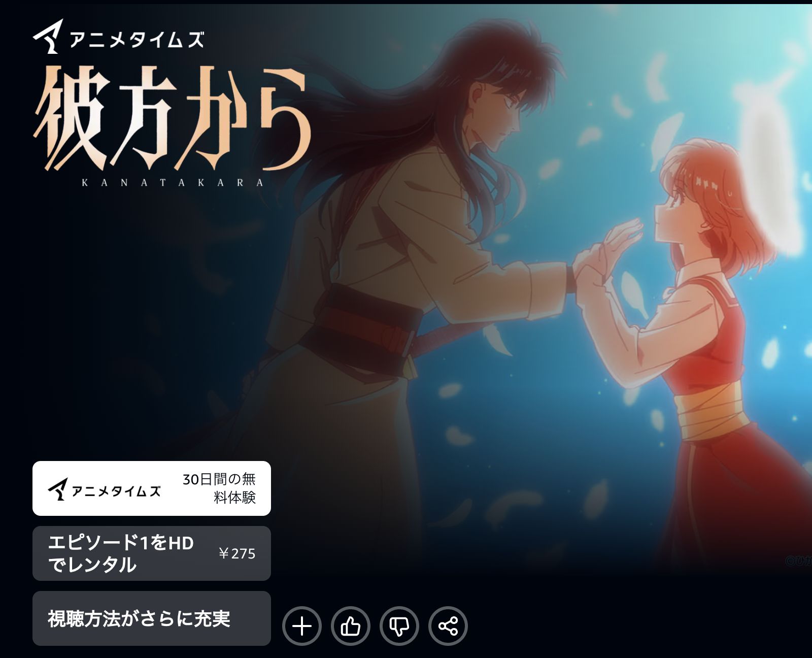 Amazon 彼方から