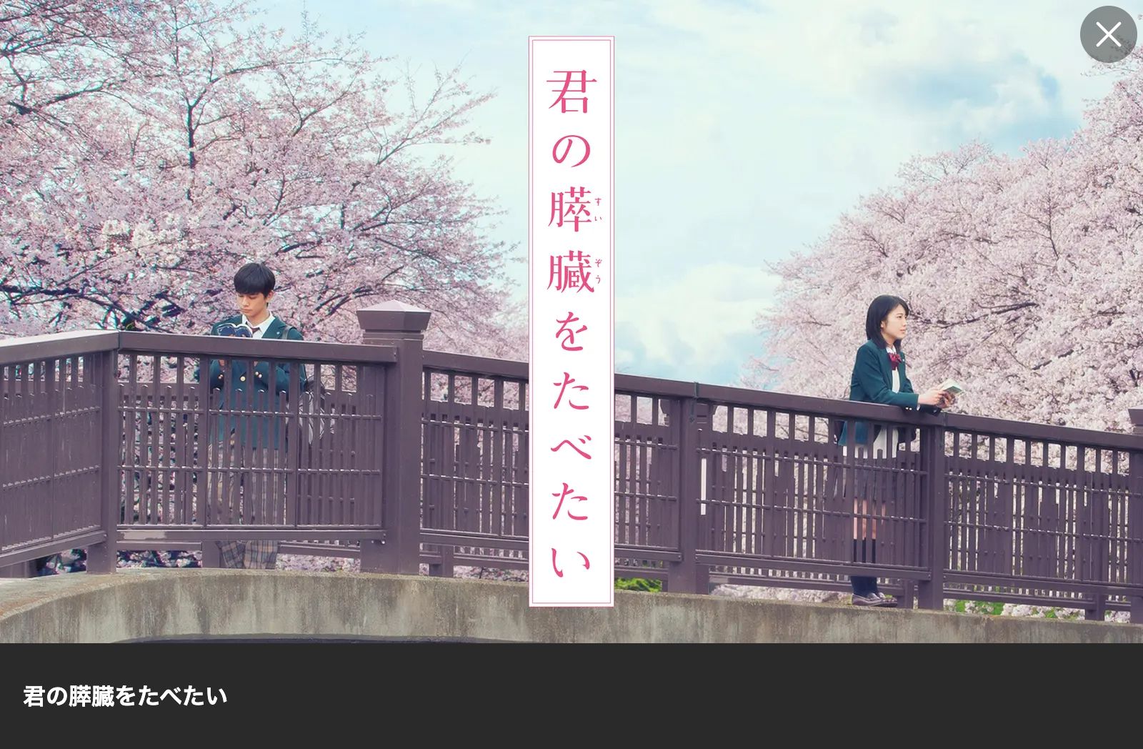 Lemino 君の膵臓をたべたい（実写）