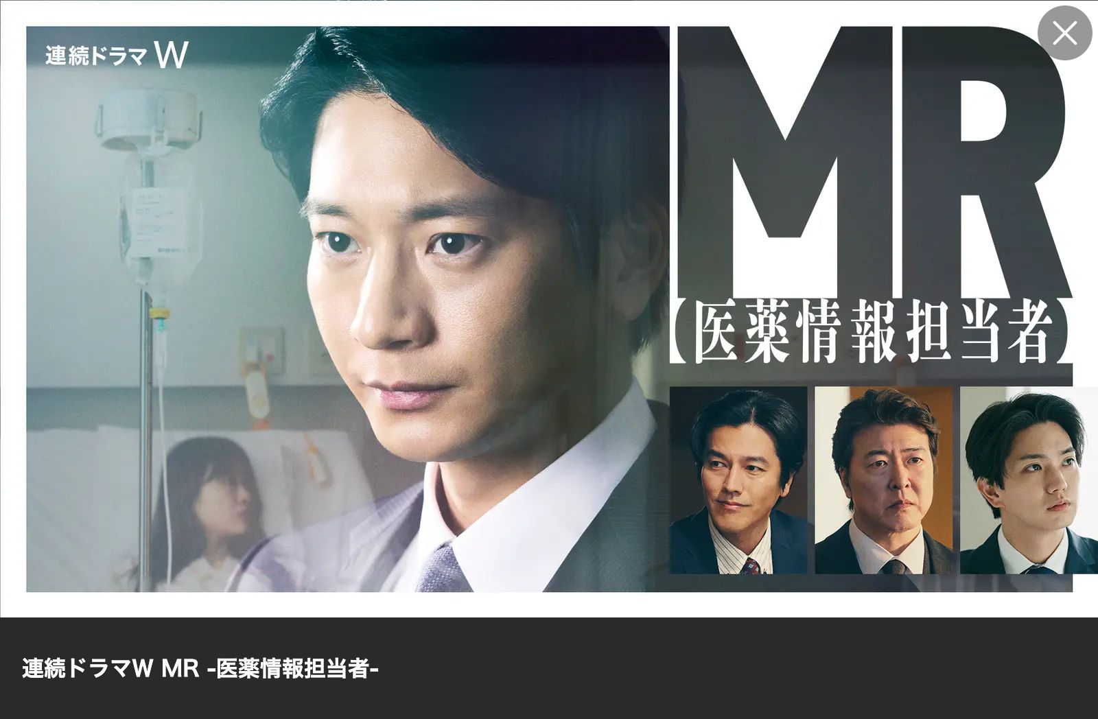 Lemino MR -医薬情報担当者-