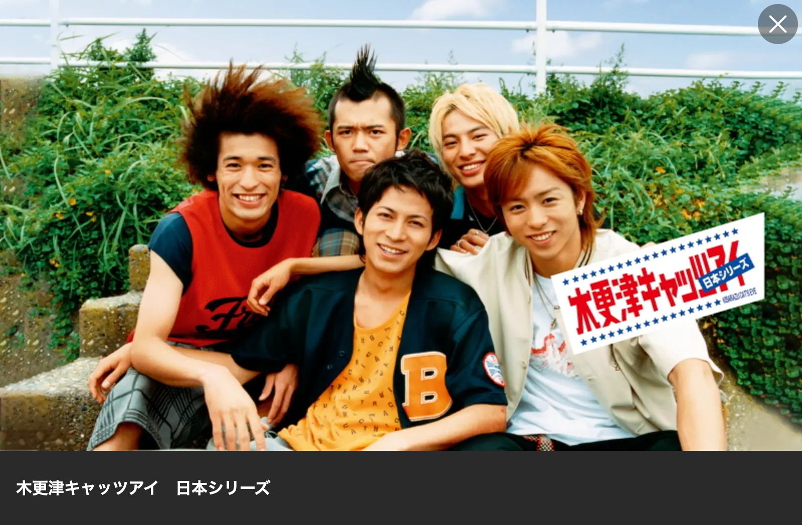 Lemino 木更津キャッツアイ 日本シリーズ