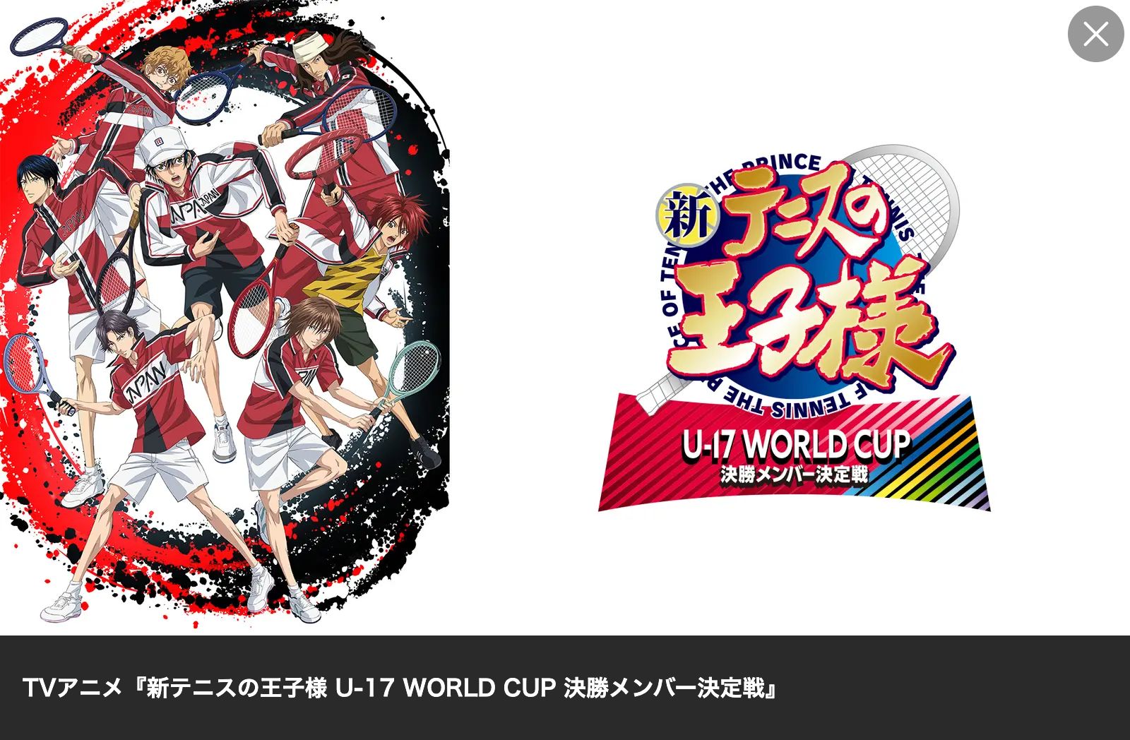 Lemino 新テニスの王子様 U-17 WORLD CUP 決勝メンバー決定戦