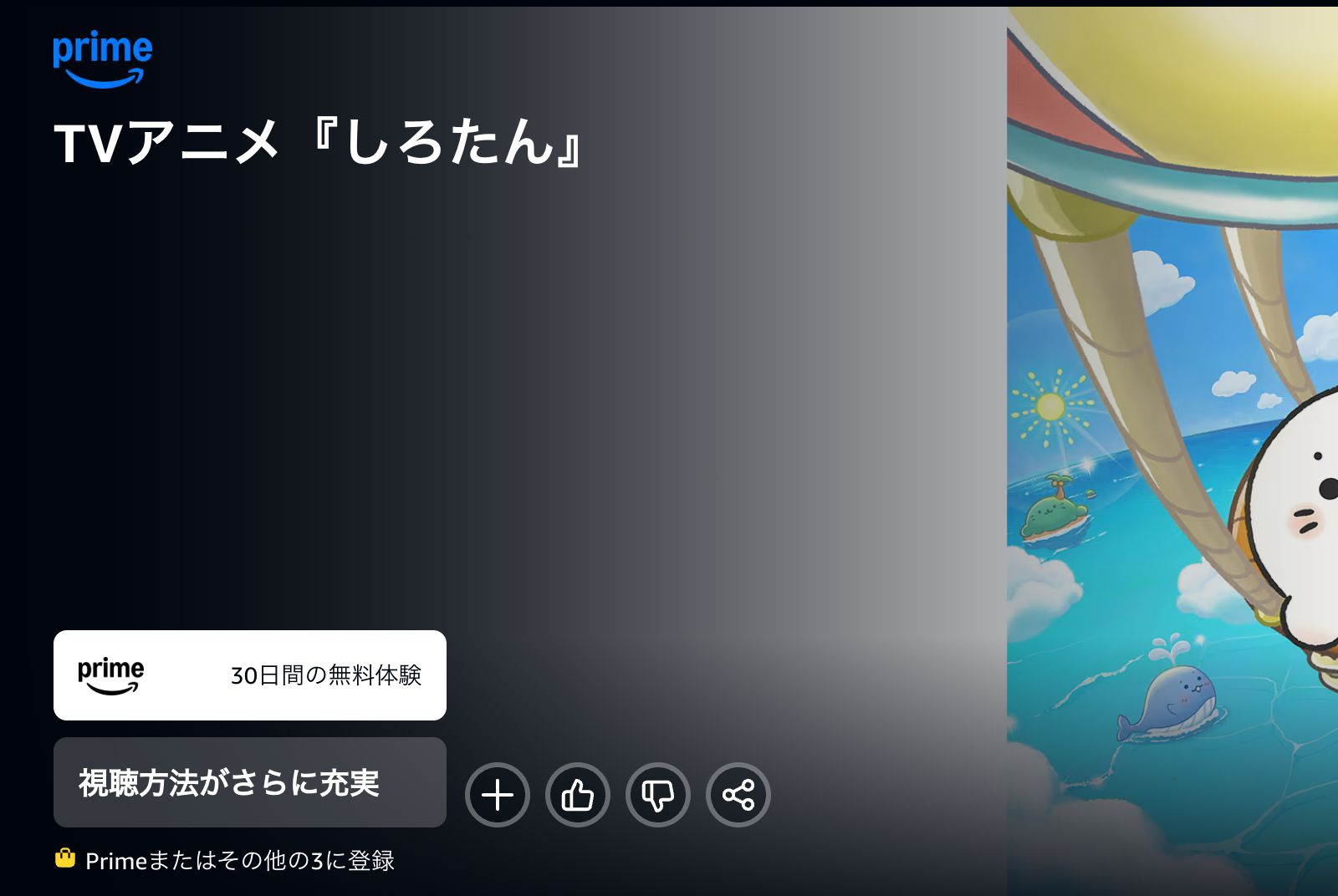 Amazon しろたん