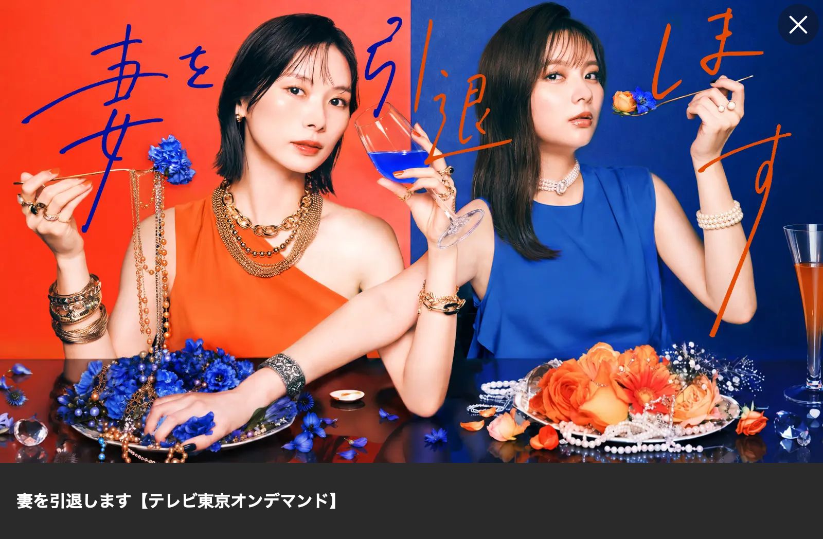 Lemino 妻を引退します