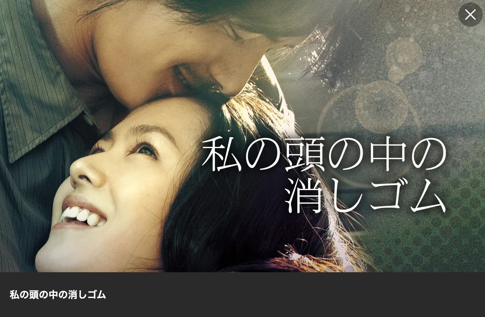 Lemino 私の頭の中の消しゴム