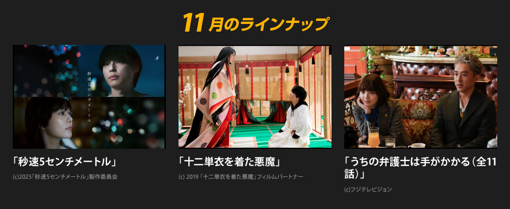 11月のラインナップ