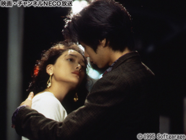 (C)1995 Softgarage