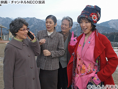 (C)C.A.L/TBS