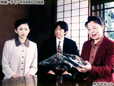 (C)オセロット