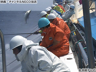 (C)共同テレビ