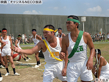 (C)TBS