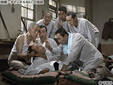 (C)TBS
