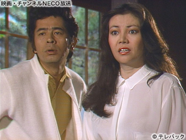 (C)テレパック