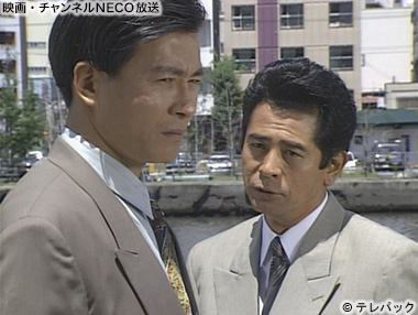 (C)テレパック