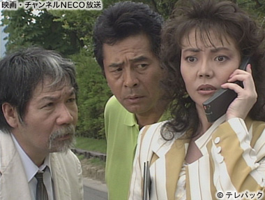 (C)テレパック
