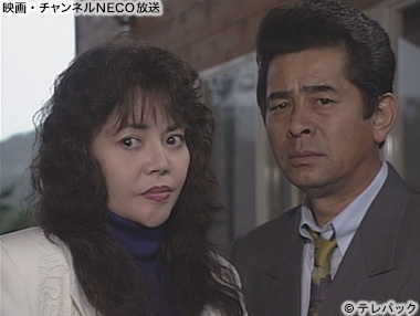 (C)テレパック