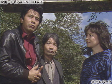 (C)テレパック