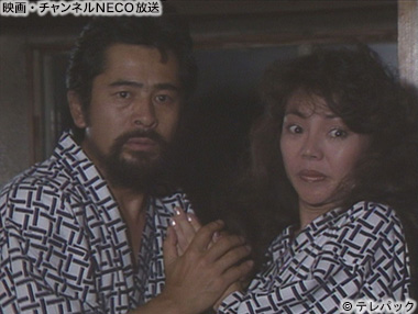(C)テレパック