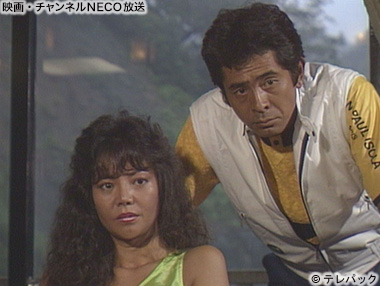 (C)テレパック