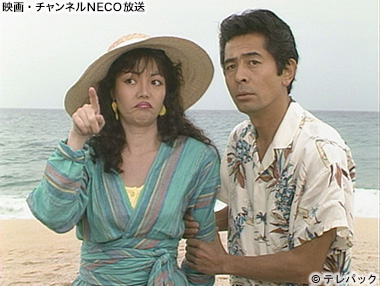 (C)テレパック