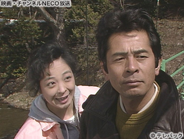 (C)テレパック